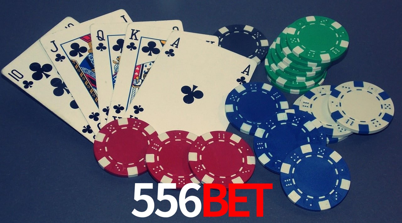Experiência VIP 556BET